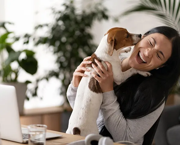 Efficient pet insurance for comprehensive coverage and a happy, healthy pet.